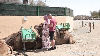 Hatalmas didkós arab maca kúrása